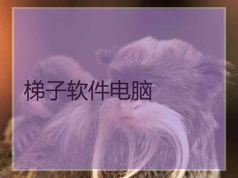 梯子软件电脑