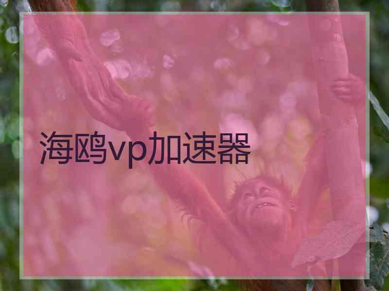 海鸥vp加速器