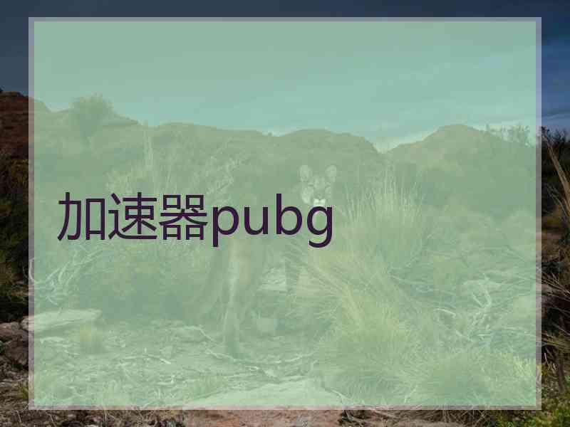 加速器pubg