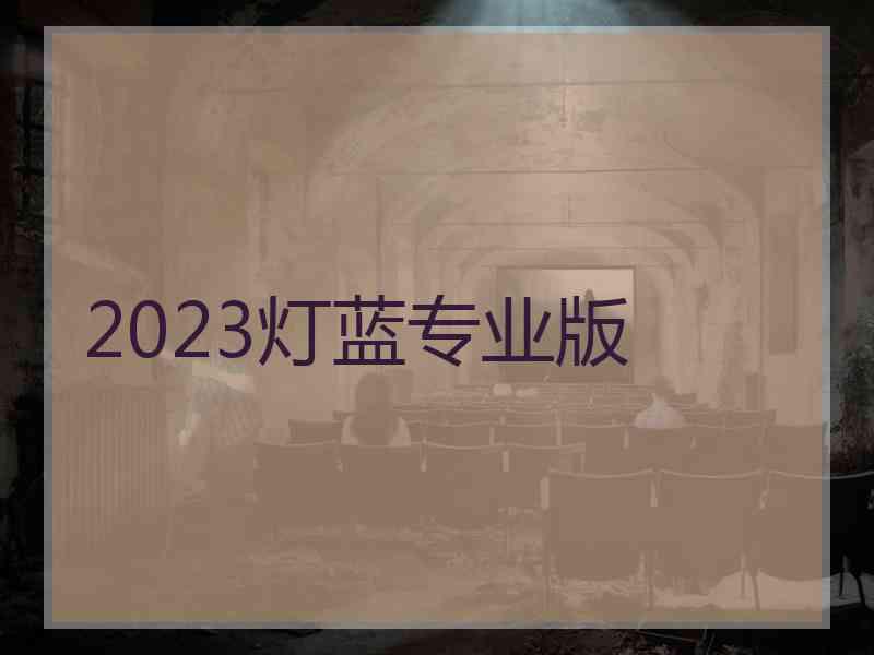 2023灯蓝专业版