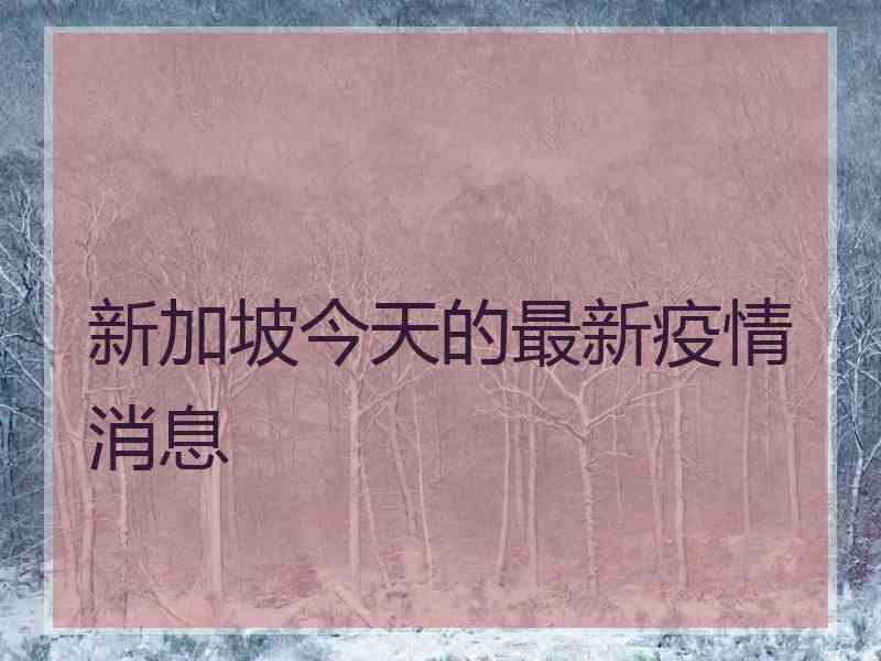 新加坡今天的最新疫情消息