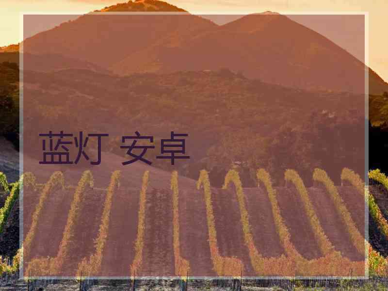 蓝灯 安卓