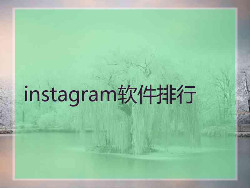 instagram软件排行
