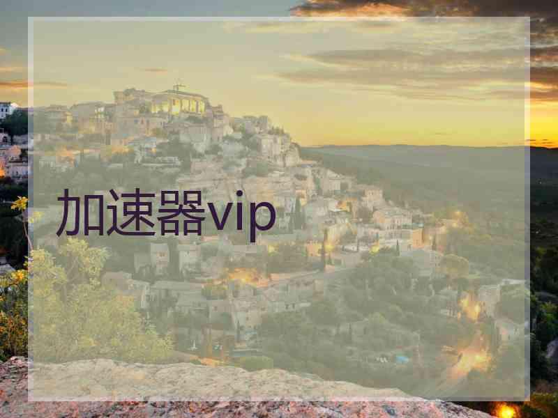 加速器vip