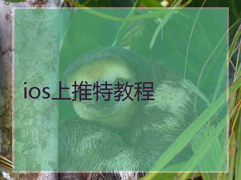 ios上推特教程