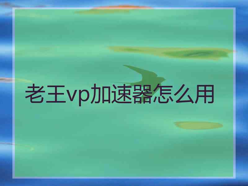 老王vp加速器怎么用