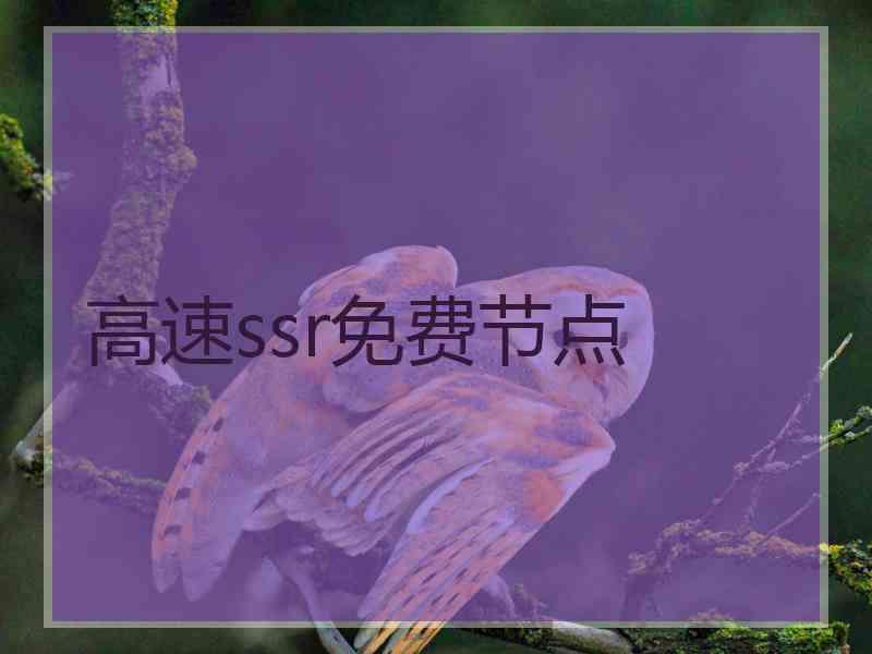 高速ssr免费节点