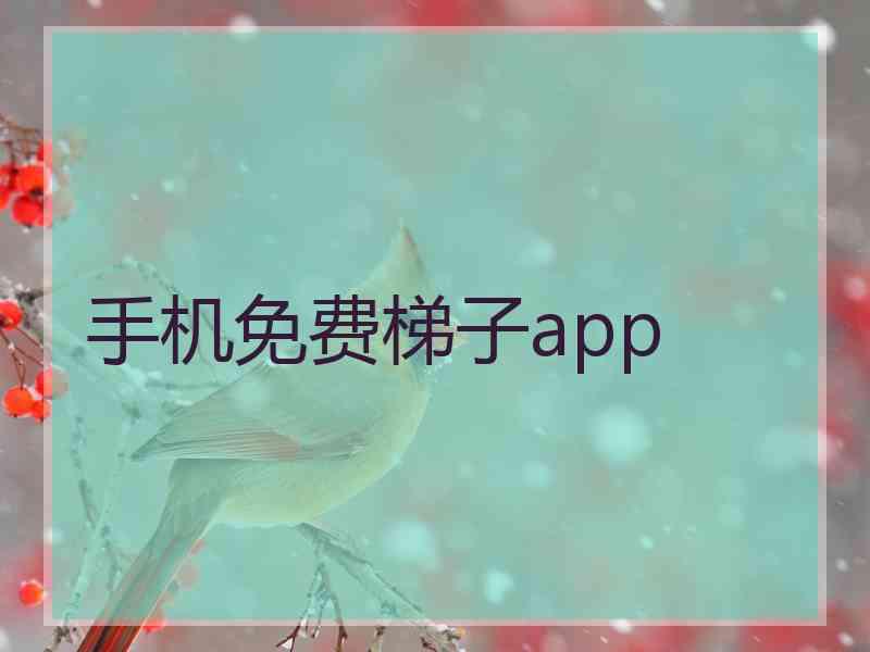 手机免费梯子app