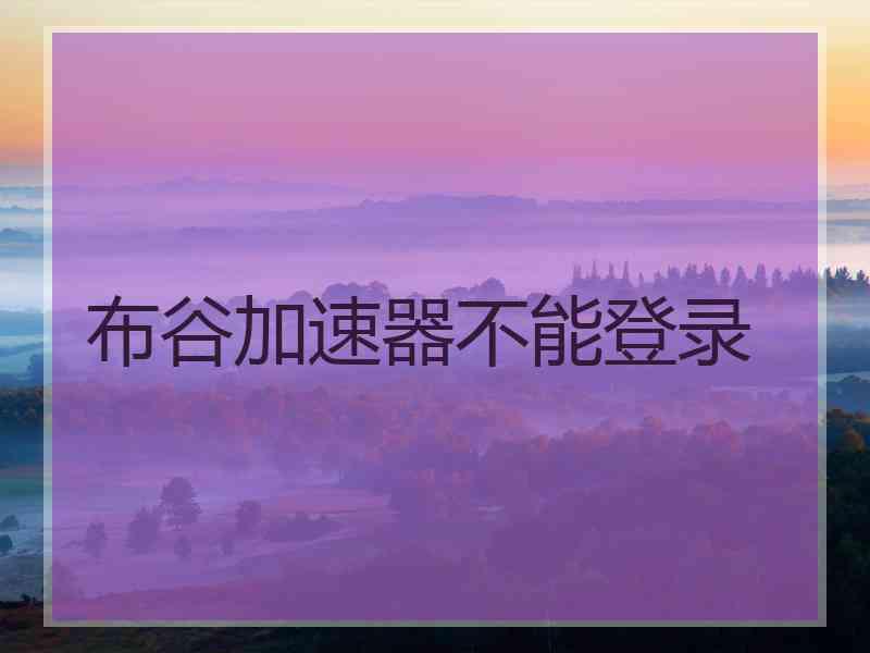 布谷加速器不能登录
