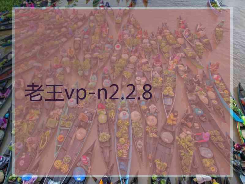 老王vp-n2.2.8