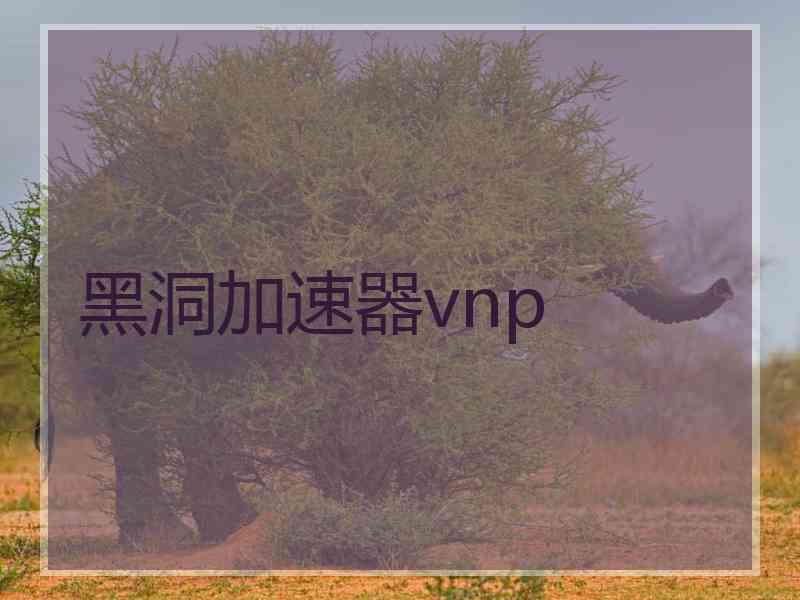 黑洞加速器vnp