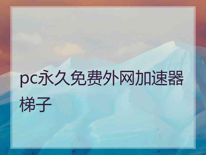 pc永久免费外网加速器梯子