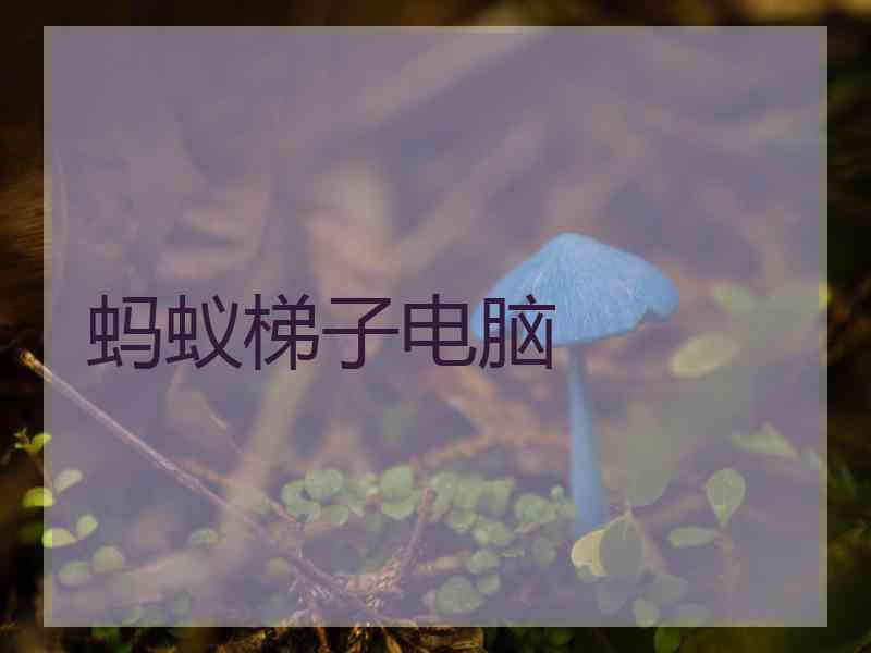 蚂蚁梯子电脑