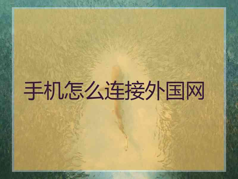 手机怎么连接外国网