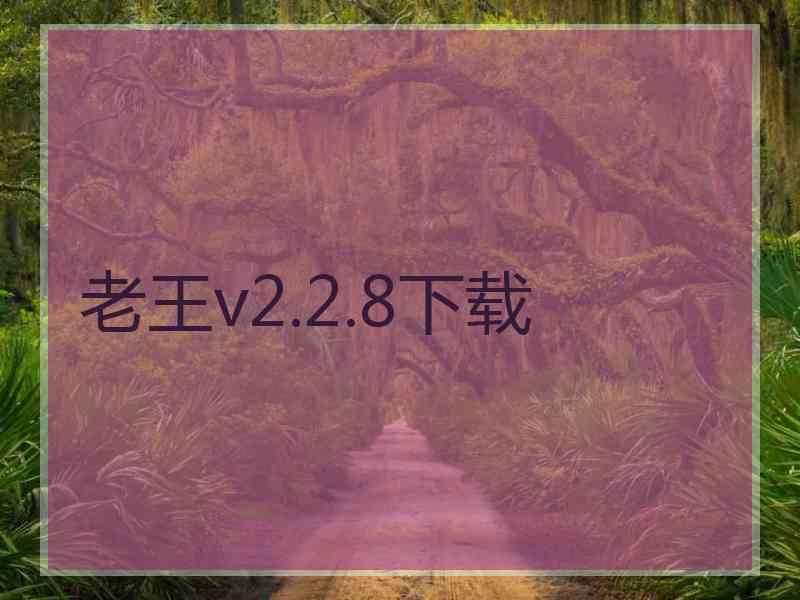老王v2.2.8下载