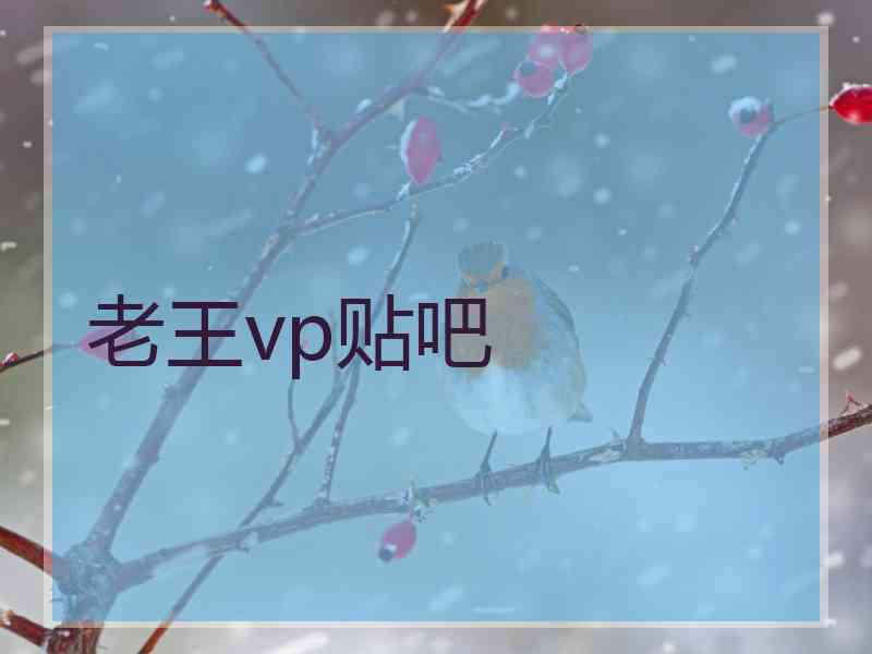 老王vp贴吧