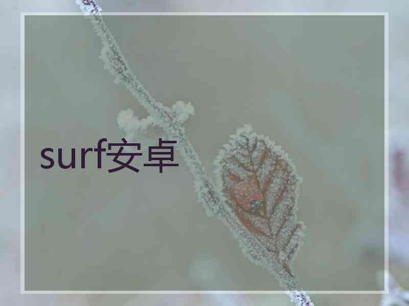 surf安卓