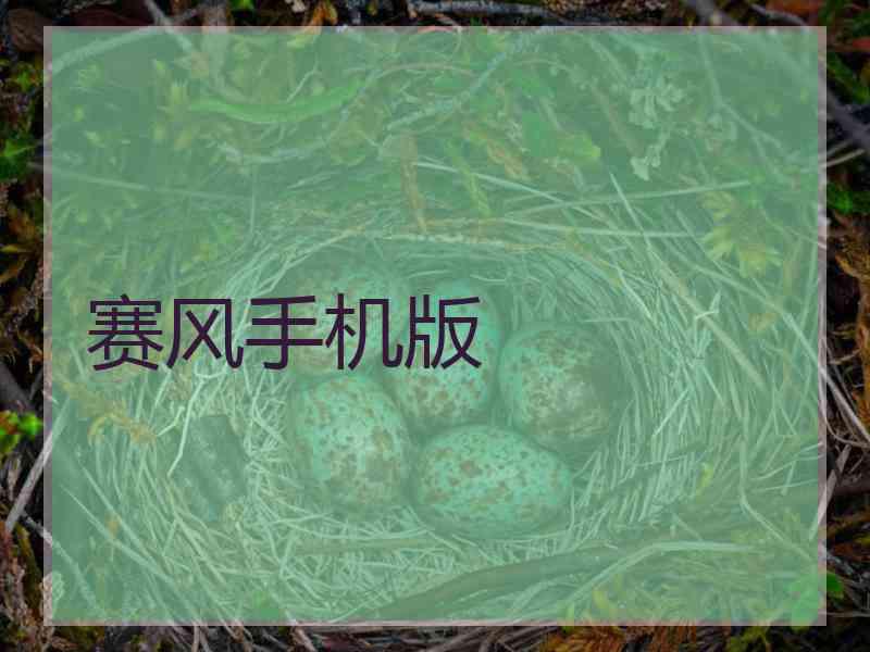 赛风手机版