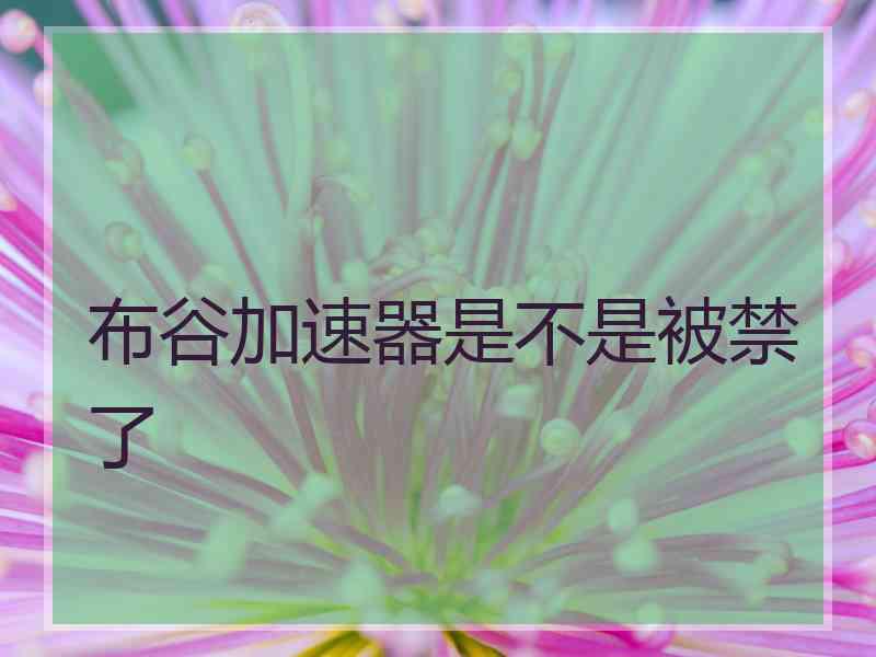 布谷加速器是不是被禁了