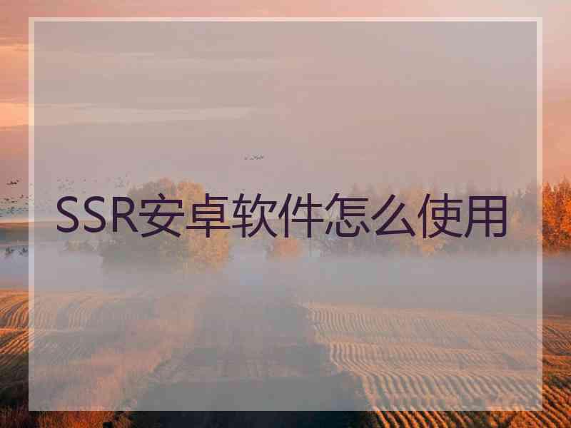 SSR安卓软件怎么使用