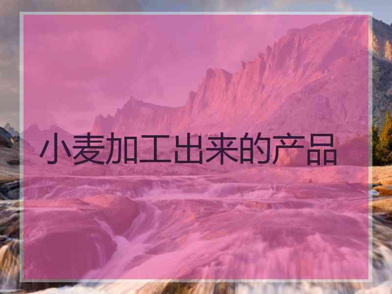 小麦加工出来的产品