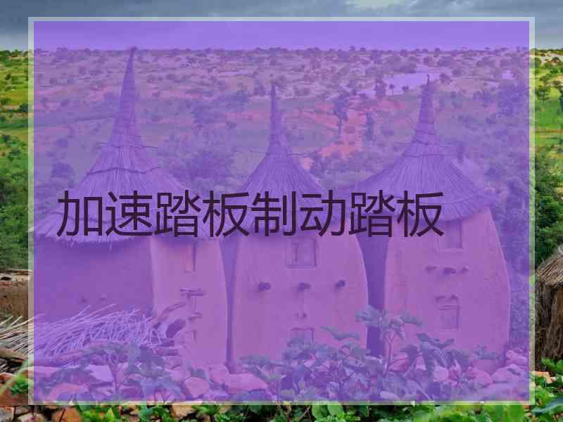 加速踏板制动踏板