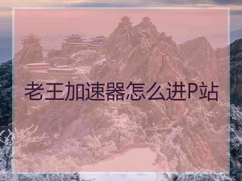 老王加速器怎么进P站