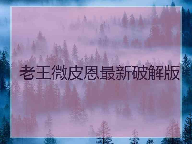 老王微皮恩最新破解版