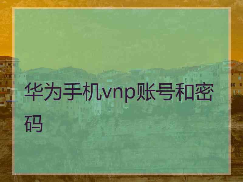 华为手机vnp账号和密码