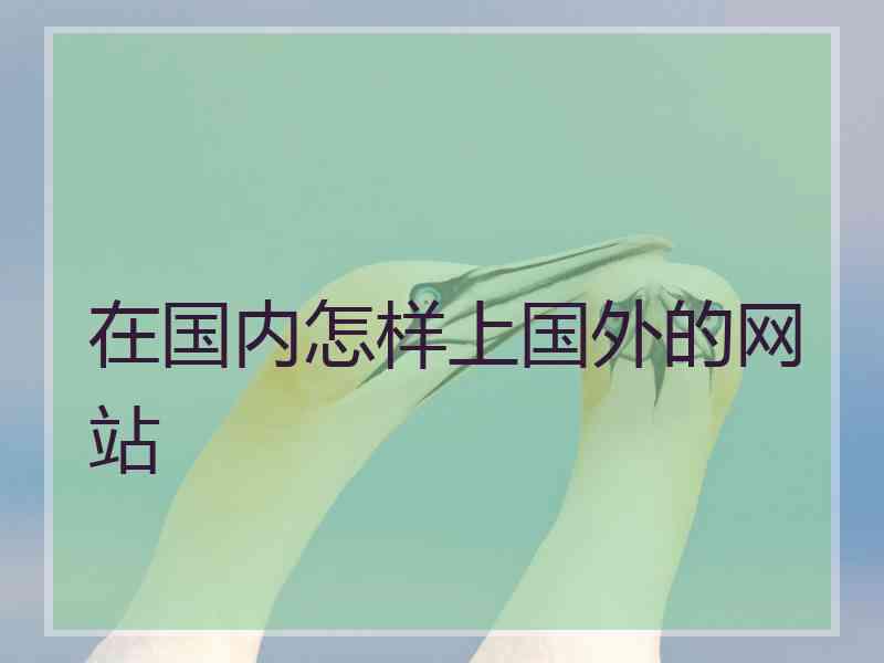 在国内怎样上国外的网站