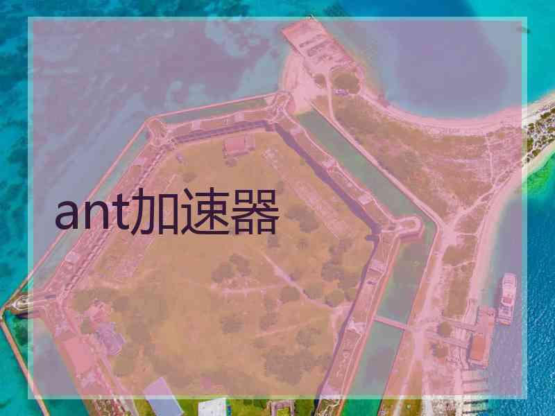 ant加速器