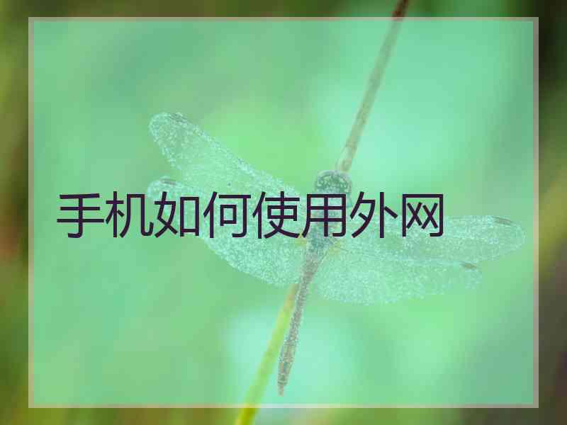 手机如何使用外网