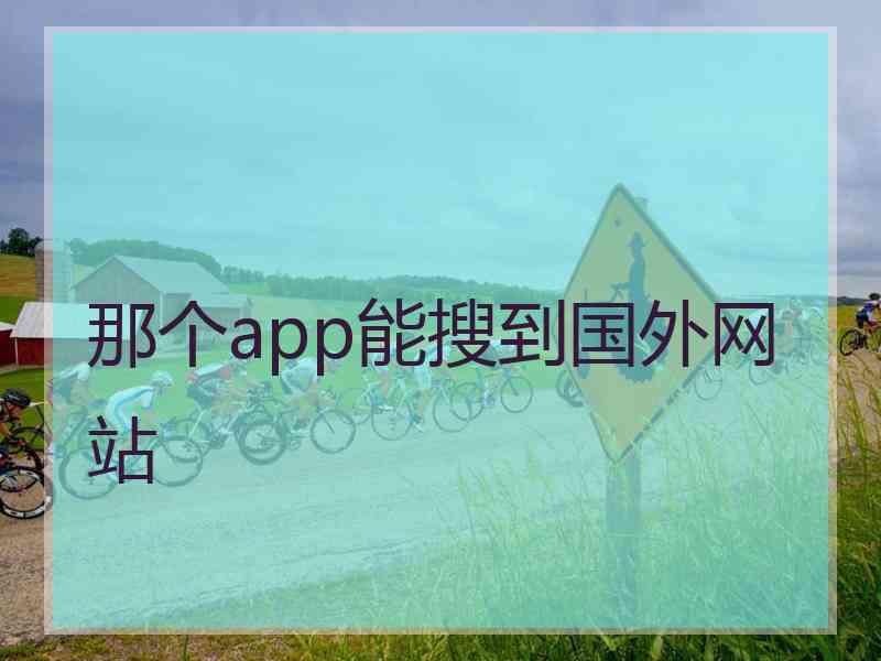 那个app能搜到国外网站