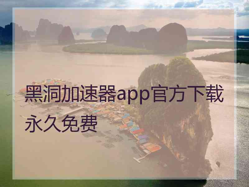 黑洞加速器app官方下载永久免费