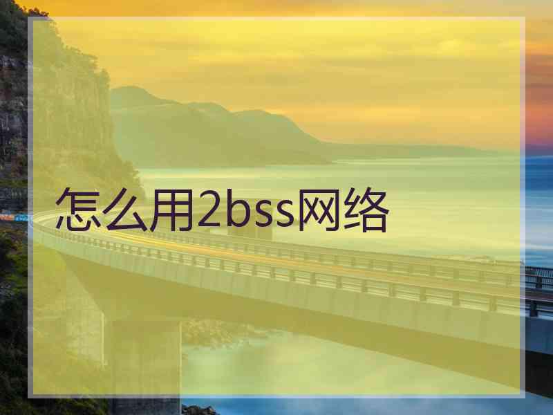 怎么用2bss网络