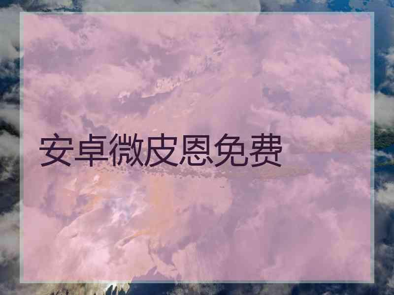 安卓微皮恩免费
