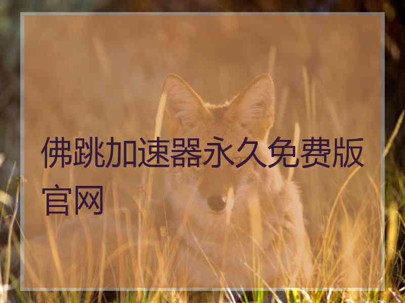 佛跳加速器永久免费版官网