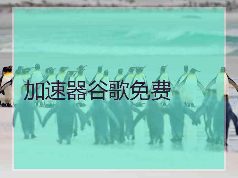 加速器谷歌免费