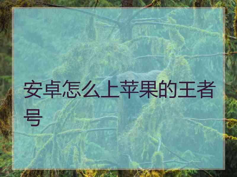 安卓怎么上苹果的王者号