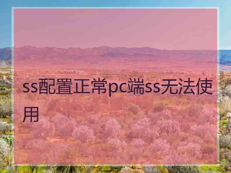 ss配置正常pc端ss无法使用