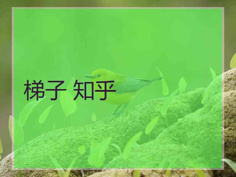 梯子 知乎