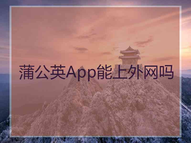 蒲公英App能上外网吗