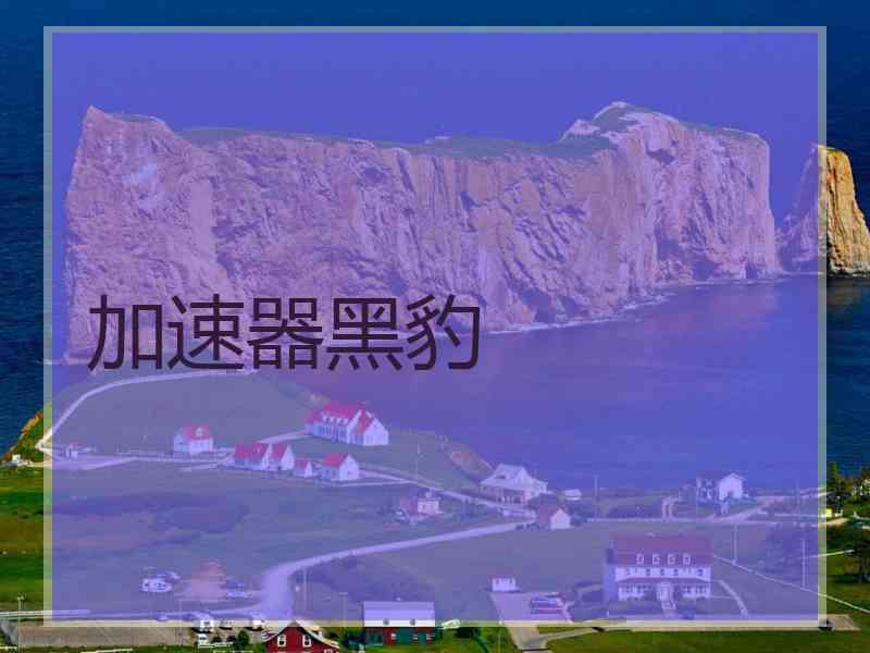 加速器黑豹
