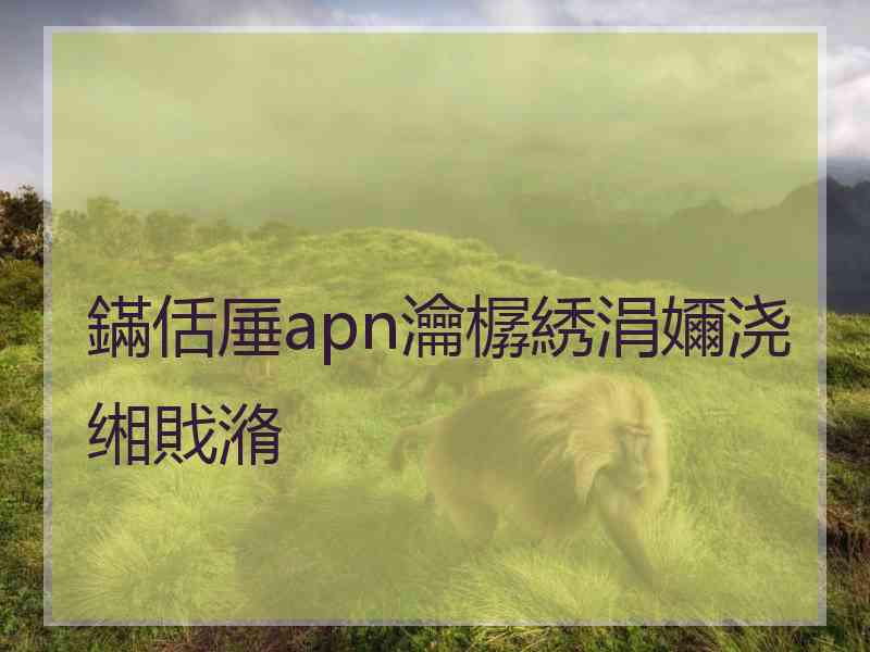 鏋佸厜apn瀹樼綉涓嬭浇缃戝潃