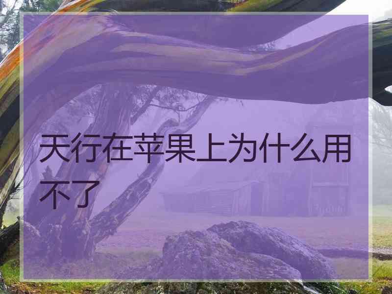 天行在苹果上为什么用不了