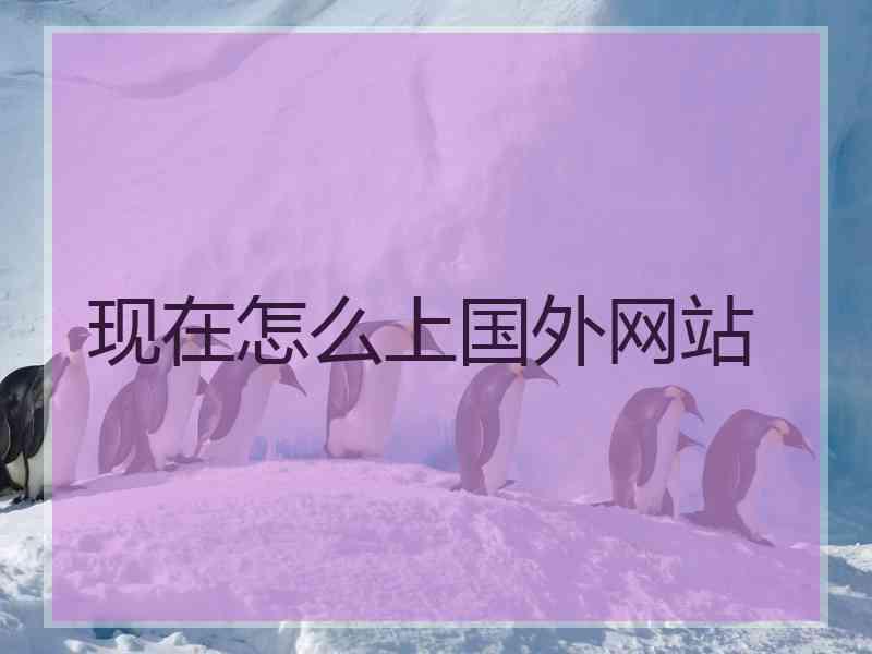 现在怎么上国外网站