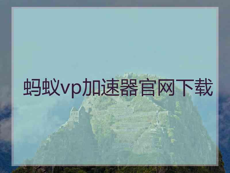 蚂蚁vp加速器官网下载