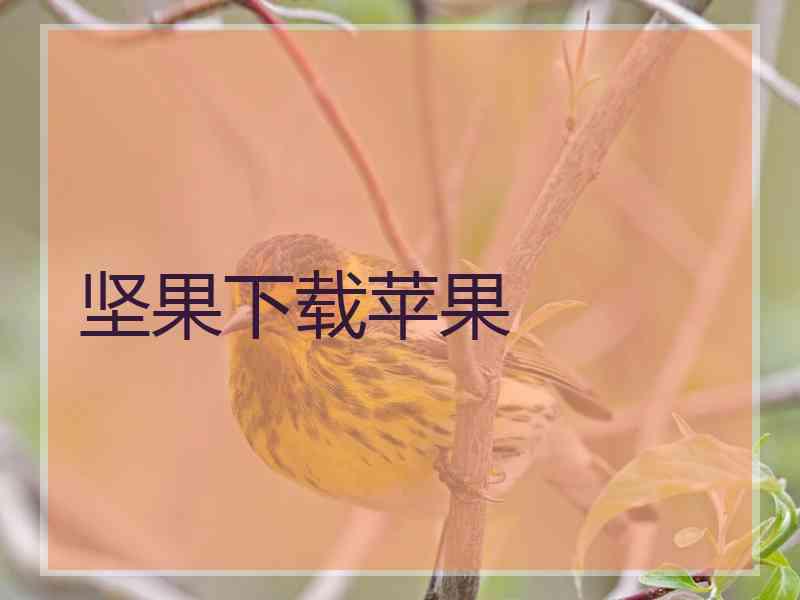 坚果下载苹果