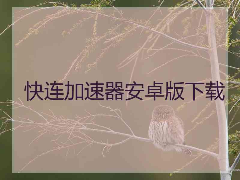 快连加速器安卓版下载