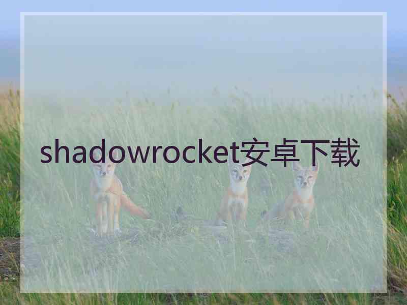 shadowrocket安卓下载